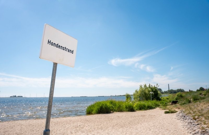 Hondenstrand lemmer ijsselmeer